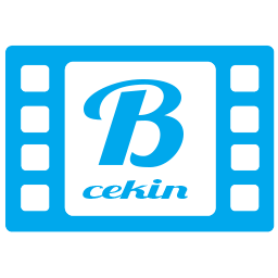 Becekin Com Seo Report Seo Site Checkup